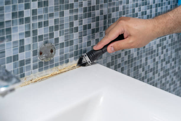 Professional Mold Remediation in Winfield, WV