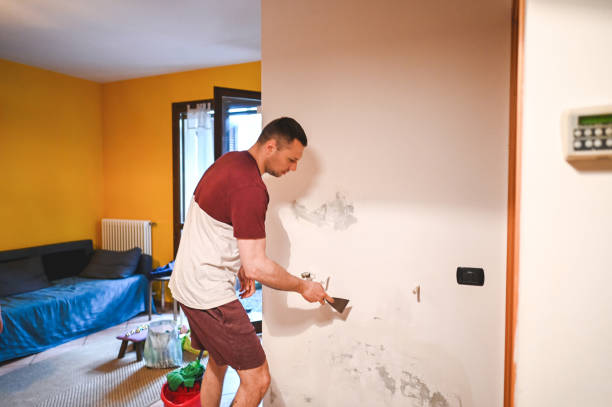 Best Basement Mold Remediation in Winfield, WV